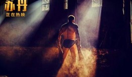 电影苏丹在线观看,网络世界的传奇英雄