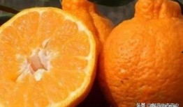 橘子最新爆料,揭秘娱乐圈最新热点事件内幕