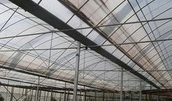 济南大棚爆料事件最新,揭开农业领域黑幕的真相揭露